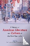  - A History of American Literature and Culture of the First World War