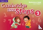 Peimbert, Lorena - Cambridge Little Steps Level 3 Numeracy Book
