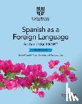 Capelo, Manuel, Gonzalez, Victor, Lara, Francisco - Cambridge IGCSE™ Spanish as a Foreign Language Workbook