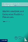 Khare, Apoorva (Indian Institute of Science - Matrix Analysis and Entrywise Positivity Preservers
