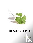 Joyce, P W - The Wonders of Ireland