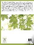 Dawson, William Leon - The Birds of Washington, Vol. 1