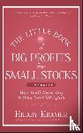 Kramer, Hilary - The Little Book of Big Profits from Small Stocks, + Website