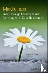 Sears, Richard W. (Wright State University - Mindfulness