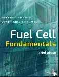 O'Hayre, Ryan (Mechanical Engineering Department Stanford University Stanford, Cha, Suk-Won (Mechanical Engineering Department Stanford University Stanford, Colella, Whitney (Mechanical Engineering Department Stanford University - Fuel Cell Fundamentals