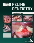 Bellows, Jan (American Veterinary Dental College and American Board of Veterinary Practitioners - Feline Dentistry