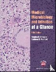 Gillespie, Stephen H. (University of St Andrews, Bamford, Kathleen B. (Royal Cornwall Hospital - Medical Microbiology and Infection at a Glance