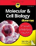 Fester Kratz, Rene - Molecular & Cell Biology For Dummies