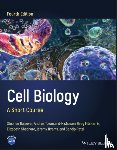 Bolsover, Stephen R. (University College London, Townsend-Nicholson, Andrea, FitzHarris, Greg, Shephard, Elizabeth A. (University College London - Cell Biology