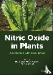  - Nitric Oxide in Plants