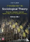 Dillon, Michele (University of New Hampshire - Introduction to Sociological Theory