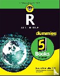 Schmuller, Joseph - R All-in-One For Dummies