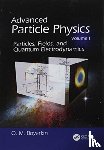 Boyarkin, Oleg (Belarus State Pedagogical University - Advanced Particle Physics Volume I