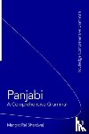 Bhardwaj, Mangat - Panjabi