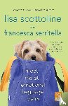 Scottoline, Lisa - Meet Me at Emotional Baggage Claim