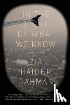 ZIA HAIDER RAHMAN - IN THE LIGHT OF WHAT WE KNOW