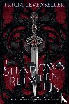 Levenseller, Tricia - The Shadows Between Us