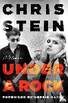 Stein, Chris - Stein, C: Under a Rock