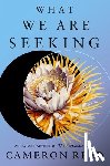 Reed, Cameron - What We Are Seeking