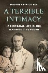 Ely, Melvin Patrick - A Terrible Intimacy: Interracial Life in the Slaveholding South