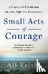 Velshi, Ali - Small Acts of Courage
