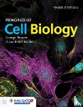 Plopper, George, Ivankovic, Diana Bebek - Principles Of Cell Biology