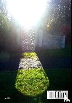 Watson, Giles - Dafydd Ap Gwilym: Paraphrases and Palimpsests