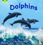 Undrill, Fiona - Bug Club Phonics - Phase 5 Unit 13: Dolphins