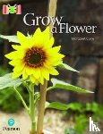 Clyne, Margaret - Bug Club Reading Corner: Age 4-7: Grow a Flower