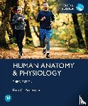 Amerman, Erin - Human Anatomy & Physiology, Global Edition