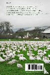 Walker, Diane - Return of the Snow Goose