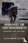  - Insurgencies and Counterinsurgencies
