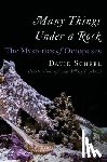 Scheel, David - Many Things Under a Rock: The Mysteries of Octopuses