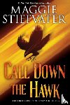 Stiefvater, Maggie - Call Down the Hawk (The Dreamer Trilogy, Book 1)