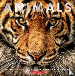 Scholastic - Animals