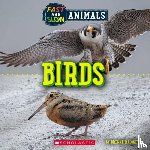 Maloney, Brenna - Birds (Wild World: Fast and Slow Animals)