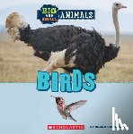 Maloney, Brenna - Birds (Wild World: Big and Small Animals)