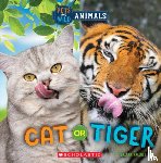 Maloney, Brenna - Cat or Tiger (Wild World: Pets and Wild Animals)
