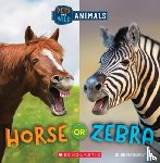 Maloney, Brenna - Horse or Zebra (Wild World: Pets and Wild Animals)