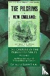 Spiers, John - The Culture of the Publisher's Series, Volume 2