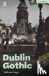 Bergin, Barbara - Dublin Gothic