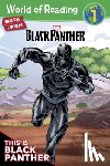 Andy Schmidt - World Of Reading: Black Panther