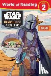 Vitale, Brooke - Star Wars: The Mandalorian: Allies & Enemies Level 2 Reader