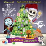 Davison, Steven - Disney Baby: 13 Days of Christmas: Touch-And-Feel, Lift-The-Flap Fun!