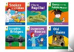 Shipton, Paul, Thomas, Isabel, Baker, Catherine, Ditchburn, Suzannah - Oxford Reading Tree: Floppy's Phonics Decoding Practice: Oxford Level 5: Mixed Pack of 6
