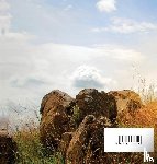Hirugami, Erika - Pertenecer | Encarnar