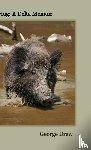 Drew, George - Hog
