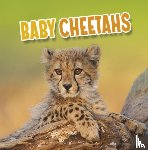 Rustad, Martha E. H. - Baby Cheetahs
