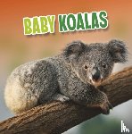 Rustad, Martha E. H. - Baby Koalas