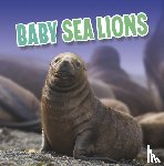 Rustad, Martha E. H. - Baby Sea Lions